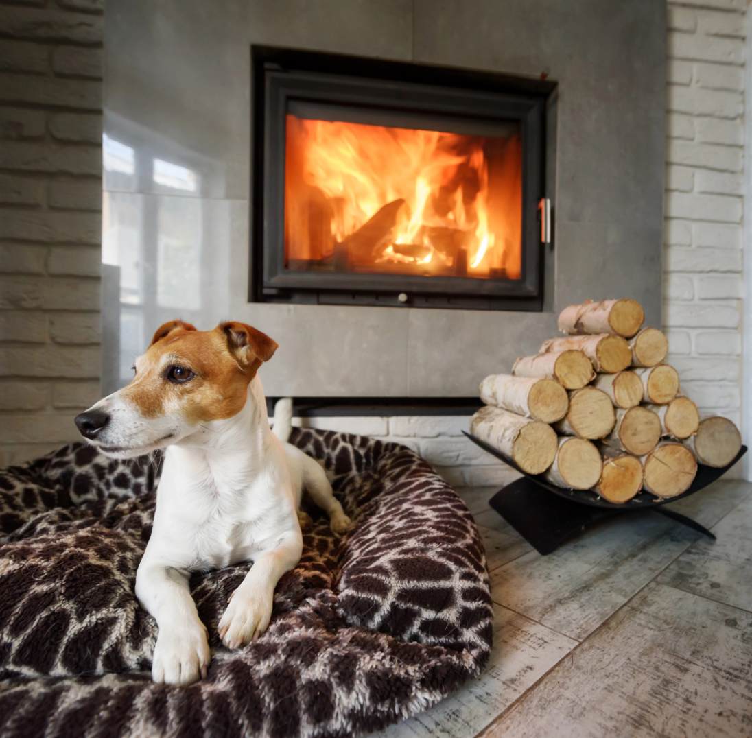 Fireplace Screen Image Fireplace Screen